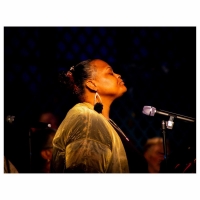 Mixed Magic Theatre Presents RISE TO BLACK: ﻿CELEBRATE ME HOME, MEMORIES OF HOME AND 