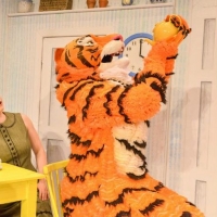 Book Now For Purrfect Summer Treat THE TIGER WHO CAME TO TEA Photo