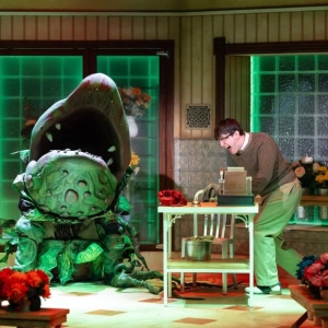 Review: DCPA Delivers a Killer LITTLE SHOP OF HORRORS Photo