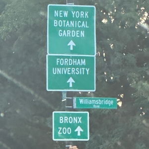 Student Blog: Fordham University Performance Clubs Interview