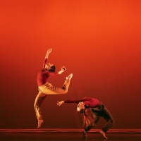 Ariel Rivka Dance Celebrates 15th Anniversary Season With Movement, Film, Text, and L Photo