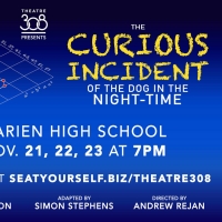 Darien High School Theatre 308 Presents Fall Production THE CURIOUS INCIDENT OF THE  Photo