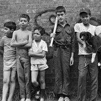 Cerqua Rivera Dance Theatre to Present STORIES FROM THE WEST SIDE