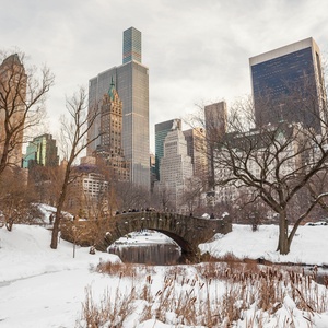 NYC Broadway Week to Offer 2-for-1 Tickets to 26 Broadway Shows Photo