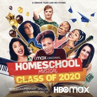 BWW Blog: Laura Benanti's HOMESCHOOL MUSICAL: CLASS OF 2020 on HBO Max is Really Some Video