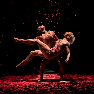 Dance St. Louis to Present Pilobolus Re:CREATION At The Touhill