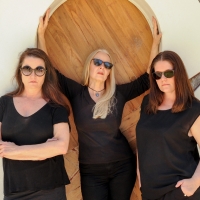 PICASSO'S WOMEN Will Be Performed at Harbour Theatre Beginning This Month