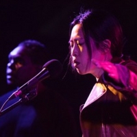 AAO Presents Meeting Points Series: DJIRIBAWAL at The Malthouse, Beckett Theatre Photo