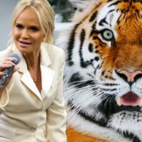 First Listen: Kristin Chenoweth Sings from Andrew Lippa's TIGER KING Parody Musical! Photo