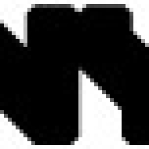 Permanent $45 Million Baseline Increase For NYC Dept. of Cultural Affairs Included In Photo