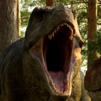 Netflix Expands Natural History Slate with Six New Documentary Series