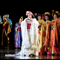 The Met Announces MADAMA BUTTERFLY, NORMA and More For Nightly Met Opera Streams