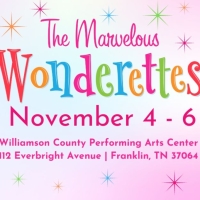 The Williamson County Performing Arts Center To Present Fall Musical THE MARVELOUS WONDERE Photo