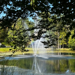 Student Blog: One Last Time (maybe) (possibly) (probably no) Photo