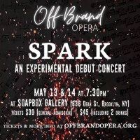 Off-Brand Opera Presents SPARK: An Experimental Debut Concert Photo