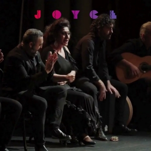 Video: Soledad Barrio & Noche Flamenca Preview 'Searching for Goya' at The Joyce Thea Photo