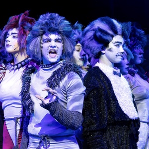 Orbit Arts Academy to Present CATS: Young Actors Edition Photo