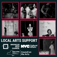 The Neighbors Awarded $5k Local Arts Support Grant From Brooklyn Arts Council Photo
