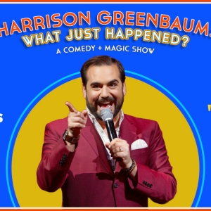 HARRISON GREENBAUM: WHAT JUST HAPPENED? Extended Through December 2024 Photo