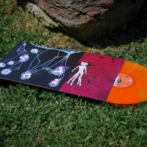 The Fall Of Troy Set Doppelganger Vinyl Re-Press and U.S. Tour Photo