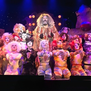 Review: CATS at Broadway Palm Dinner Theatre Photo