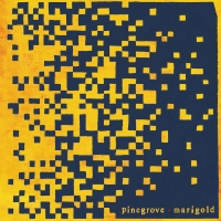 Pinegrove Announces New Album MARIGOLD Photo