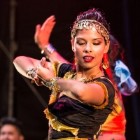 Bollywood Comes to Albuquerque in a Vibrant Cultural Phenomenon