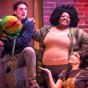 Review: LITTLE SHOP OF HORRORS at Theatre In The Park (Indoors) Photo
