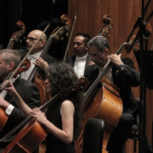 Exitoso Debut De La Violista Mexicana Dana Zemtsov Con La Orquesta Sinfónica Nacion Photo