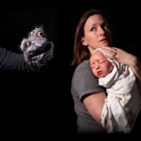 NIGHT FEED Wins Best Of Fringe, Patron's Pick, Sells Out Entire Toronto Fringe Run