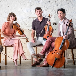 The Australian String Quartet's BIG GIG Celebrates 40 Years With Free Concerts Photo