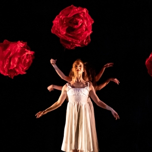 Review: MOMIXs ALICE at Ottawas National Arts Centre Photo