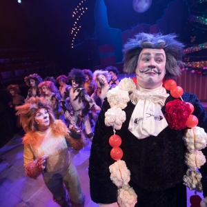 Review: CATS at Seacoast Repertory Theatre Photo