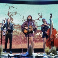 VIDEO: Molly Tuttle & Golden Highway Perform 'Crooked Tree' on KIMMEL