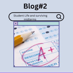 Student Blog: Student Life and Surviving Midterms