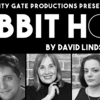 City Gate Revives Pulitzer Prize- Winning Play RABBIT HOLE