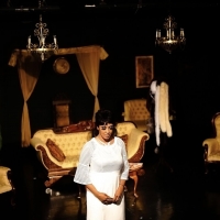 BWW Review: THE LAST NIGHT OF JOSEPHINE BAKER from Vincent Victoria Presents Photo