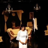BWW Review: THE LAST NIGHT OF JOSEPHINE BAKER from Vincent Victoria Presents