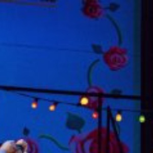 THE ELIXIR OF LOVE to Open The Dallas Opera's 2026/2027 Season Photo