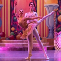 Paris Ballet to Present Two Free Outdoor Performances of THE NUTCRACKER Photo