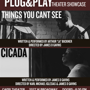 PLUG & PLAY THEATER SHOWCASE To Bring New Hip Hop Theater Works To The Capri Photo