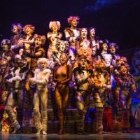 BWW Review: Broadway Across Canada's Touring Production of CATS Proves Its Enduring A Photo