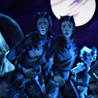 BWW Review: CATS, A Litter Ground of Spectacle, Mystery, Fun and Nostalgia Photo
