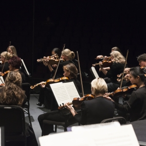 Sarasota Orchestra Receives Grant from Barancik Foundation, Bolstering Community Musi Photo