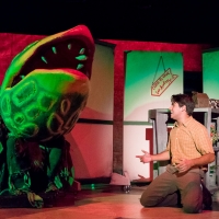 BWW Review: LITTLE SHOP OF HORRORS at TEXARTS Photo