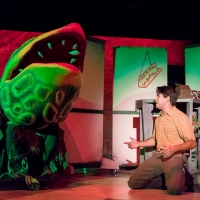 BWW Review: LITTLE SHOP OF HORRORS at TEXARTS