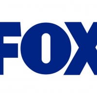 Fox Will Produce Marriage Comedy PEOPLE PERSON