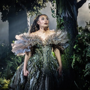 Review: INTO THE WOODS, Bridge Theatre Photo