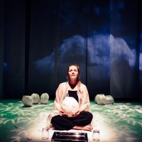 BWW Review: BUTTERFLY at InSeries At Source Photo