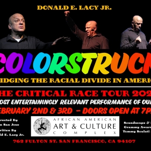 Donald Lacy's COLORSTRUCK Kicks Off Black History Month at the African American Art & Video
